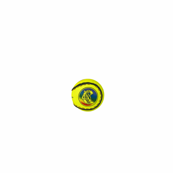 Official Camogie Sliotar Yellow