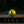 Official Camogie Sliotar Yellow