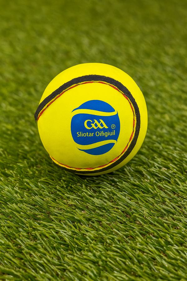 Official size 5 Sliotar- 2026 Edition